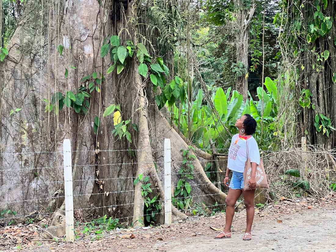 Bloom your Womb- Healing and Training Retreat
