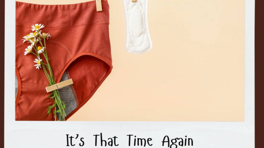 The Monthly Menstrual Cycle Ride: Navigating Flows, Symptoms, and Mood Changes