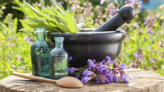 The Best Herbs for Menopause