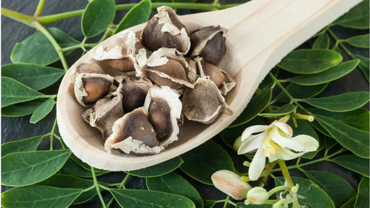 The Magic of Moringa for Menstrual Health