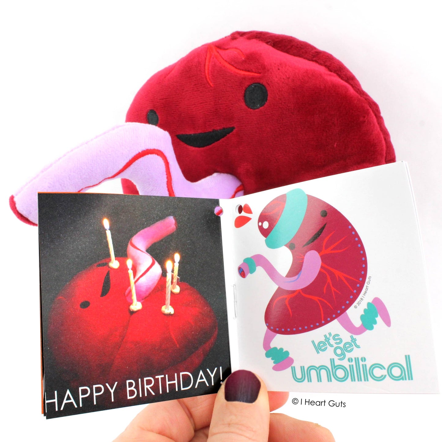 Placenta Plushy - Baby's First Roommate