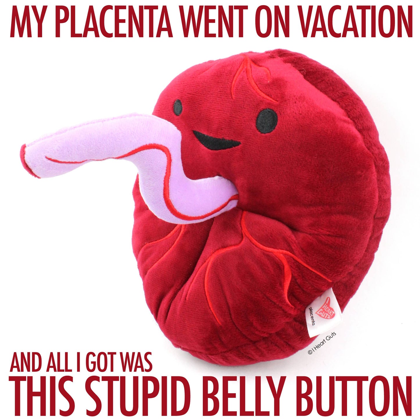 Placenta Plushy - Baby's First Roommate